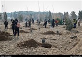 فرمانده سپاه کربلای مازندران: ۱۰۰ هزار اصله نهال در خوزستان غرس می‌شود