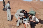 فرمانده انتظامی نکا: عامل تیراندازی به محیطبانان نکا دستگیر شد