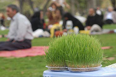 زهرا اشکیود/ راز گره زدن سبزه های نوروزی