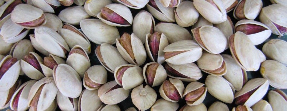 ۱۰ خاصیت فوق‌العاده پسته برای تندرستی