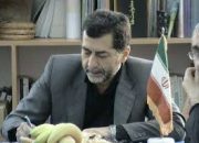 حسینی نژاد: مهم‌ترین هدف جنگ نرم دشمن گرفتن امید و اعتمادبه‌نفس ملت ایران است