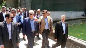 با حضور معاون علمی وفن آوری رﺋیس جمهور طرح تولید انبوه قزل آلای رنگین کمان عاری از بیماری در تنکابن رونمایی شد