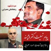 با صدور پیامی؛ وزیر اقتصاد و دارایی شهادت سردار سرتیپ پاسدار صحرائی را تسلیت گفت