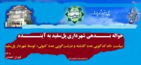 تاخیر در پرداخت حقوق و نشر آن با چک شخصی از سوی شهردار پل سفید عوام فریبانه بود/کاهش حقوق و مزایا با حذف رفاهی کارکنان از ضعف مدیریتی است