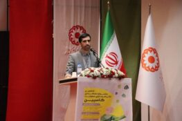 رئیس سازمان بهزیستی:« هنردرمانی» از شاخه های مهم سازمان بهزیستی است