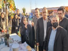 معاون وزیر جهاد کشاورزی:سهم ۲۰ درصدی بخش کشاورزی از مصرف برق کشور