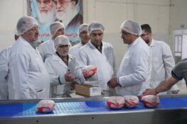 مدیرکل دامپزشکی مازندران؛رصد دقیق فعالیت کشتارگاه های طیور مازندران؛ کشتار ۱۴۰ میلیون قطعه مرغ در مازندران