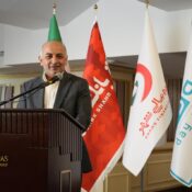 مدیرعامل شرکت بیمه دی: صندوق تضمین غیردولتی؛ نقطه اتصال حلقه‌های تأمین مالی است