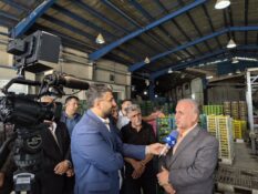 فرماندار ساری:نارنگی ساری باید به یک برند تجاری تبدیل شود